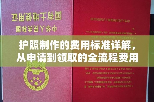 聂荣护照制作的费用标准详解，从申请到领取的全流程费用指南