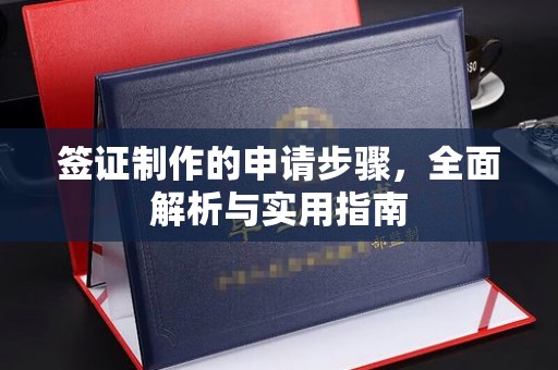 田阳签证制作的申请步骤，全面解析与实用指南