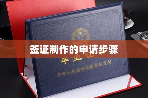 元江签证制作的申请步骤