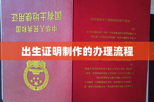 仁布出生证明制作的办理流程